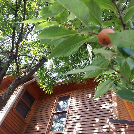 Persimmon Inn Bloomington Eksteriør bilde